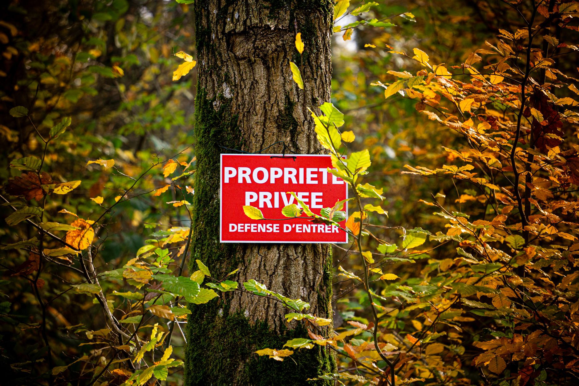 Détective privé à Niort